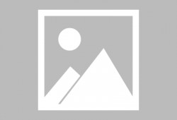 忍者副本爆料大全最新下载,最新下载内容深度解析